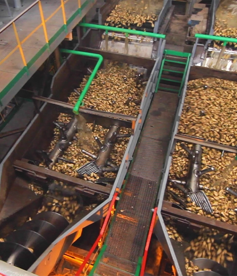 Cashew Nut Shell Liquid (CNSL)